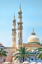 Dubai Mosque 2 Royalty Free Stock Photo