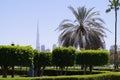 Dubai Safa Park Royalty Free Stock Photo