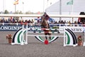 Dubai Showjumping