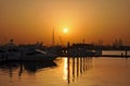 Dubai Skyline and Marina