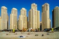 Dubai skyline with skyscrapers and camels at the beach