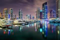 Dubai skyline view during night. Dubai marina, United Arab Emirates.