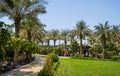 Dubai. Summer 2016. A green oasis overlooking the Four Seasons hotel Jumeirah