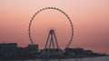 Dubai, UAE. Amazing aerial view of the Ain Dubai at sunset. An iconic landmark close to Dubai Marina