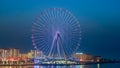 Dubai, UAE. Amazing view of the Ain Dubai at night. An iconic landmark. The Ferris wheel illuminated at night