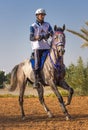 Rider participating in an endurance race. Royalty Free Stock Photo