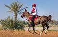 Rider participating in an endurance race. Royalty Free Stock Photo