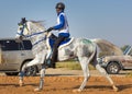 Rider participating in an endurance race. Royalty Free Stock Photo