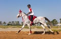 Rider participating in an endurance race. Royalty Free Stock Photo