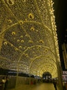 Dubai, UAE - December 11, 2023: Light installation on display in Downtown Dubai