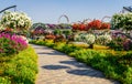 Dubai Miiracle Garden Royalty Free Stock Photo