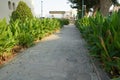 Dubai UAE December 2019 Scenic view of landscaped path with plants and stones in yard. Backyard of residential house. Stone