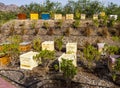 Dubai, UAE - 05.08.2022 - Different types of bee hives in display at Hatta honey bee garden and discovery center. Discovery