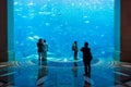 Aquarium in Atlantis hotel, Dubai, United Arab Emirates