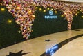 Dubai, UAE - 09.26.2022 - Flower wall installation in Burjman shopping mall. Design