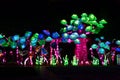 Glowing garden is a great attraction for kids and adults in Dubai, UQE