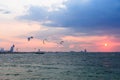 Kites flying at the Dubai Kite Jumeira beach Royalty Free Stock Photo