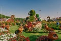 DUBAI, UAE - January 05, 2019 : Dubai miracle garden with over 45 million flowers in a sunny day , United Arab Emirates Royalty Free Stock Photo