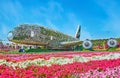 Air plane in Miracle Garden, Dubai, UAE Royalty Free Stock Photo