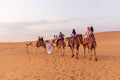 DUBAI, UAE - November 09, 2018: Camel caravan with tourists going through sand dunes in Dubai desert