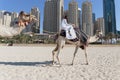 A man riding a camel on the beach Royalty Free Stock Photo