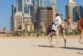 A man riding a camel on the beach Royalty Free Stock Photo