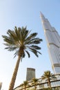 The view on Burj Khalifa and palm trees