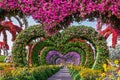 Dubai, UAE, Floral hearts alley in Miracle garden landscape view