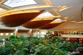 The Reception lobby area of Grand Hyatt Dubai luxury resort hotel Royalty Free Stock Photo