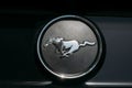Dubai, UAE, United Arab Emirates - May 25, 2021: Close Up Of Logo Logotype Sign Of Ford Mustang on hood. Ford Mustang is Royalty Free Stock Photo
