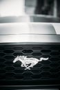 Dubai, UAE, United Arab Emirates - May 25, 2021: Close View Of Logo Logotype Sign Of Ford Mustang on grey hood. Ford Royalty Free Stock Photo