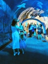 Dubai, UAE - 07.14.2022 - Visitors at Dubai aquarium attraction. Landmark