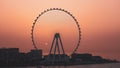 Dubai, UAE. Amazing aerial view of the Ain Dubai at sunset. An iconic landmark close to Dubai Marina