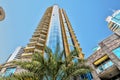 Dubai United Arab Emirates, extremely high skyscrapers with shops on the ground floor, a green palm tree in the foreground in the