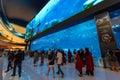 Dubai shopping mall Aquarium, United Arab Emirates Royalty Free Stock Photo