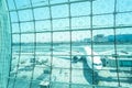 Airport outside the window scene,waiting for the flight Royalty Free Stock Photo