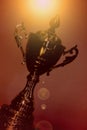 DUBAI-UNITED ARAB EMIRATES ON 21 JUNE 2017.Classy picture shot view of filtered champion golden trophy, natural background. Royalty Free Stock Photo