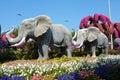 Dubai, United Arab Emirates (UAE), December 2022: Dubai Miracle Garden, a flower garden with enormous flower structures.