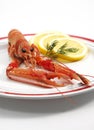 Dublin Bay Prawn or Norway Lobster or Scampi, nephrops norvegicus, Crustacean and Lemon on Plate