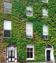 DUBLIN, IRELAND - AUGUST 13, 2018: House in green ivy with a white door. White door in Dublin, Ireland. Royalty Free Stock Photo