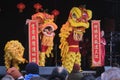 Dublin, Ireland - 29 January 2023: Chinese New Year Celebration lions on stage at Meeting House Square