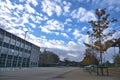 Beautiful autumn vibes on campus of University College Dublin. Fantastic blue sky with clouds