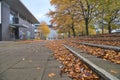 Lots of fallen leaves beside outdoor stairs on campus of University College Dublin