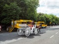 Dublin, Ireland - 07.12.2023: White stylish white horse cart passing Viking Splash tour busses by St Stephen\'s Green park.