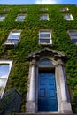 Dublin ivy covered house irish Royalty Free Stock Photo