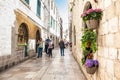 Flowers at the beginning of spring in the beautiful alleys of the old town of Dubrovnik Royalty Free Stock Photo