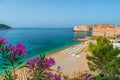 Dubrovnik old town with sandy Banje beach and flowers on Adriatic sea in Croatia, Europe Royalty Free Stock Photo