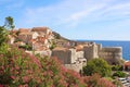 Dubrovnik old town walls with flowers, Croatia, Europe Royalty Free Stock Photo