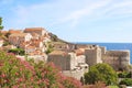 Dubrovnik old town walls with flowers, Croatia, Europe Royalty Free Stock Photo