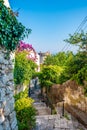 Dubrovnik panorama view from small old street with green trees on the side. Sea in background Royalty Free Stock Photo